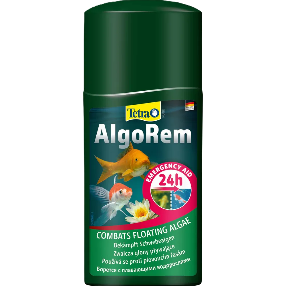 Tetra Dammen Algorem på vei mot grønt vann