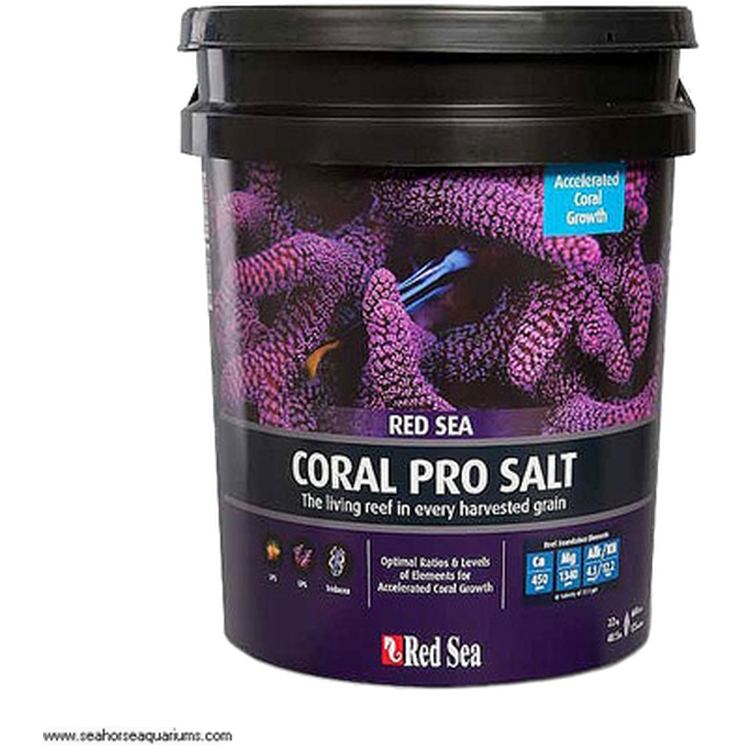 Coral Pro Salt