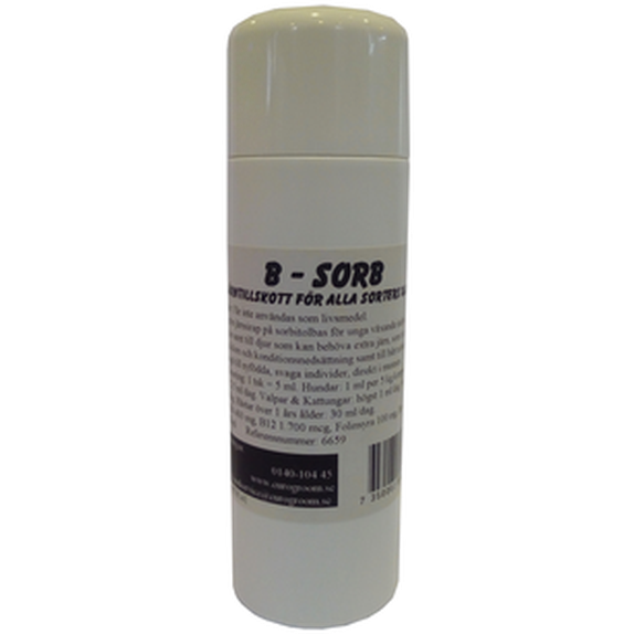 B-Sorb Jernsirup 100 ml