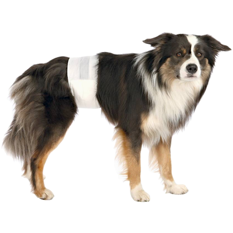 Engangsbleier for hannhunder blå Small/Medium