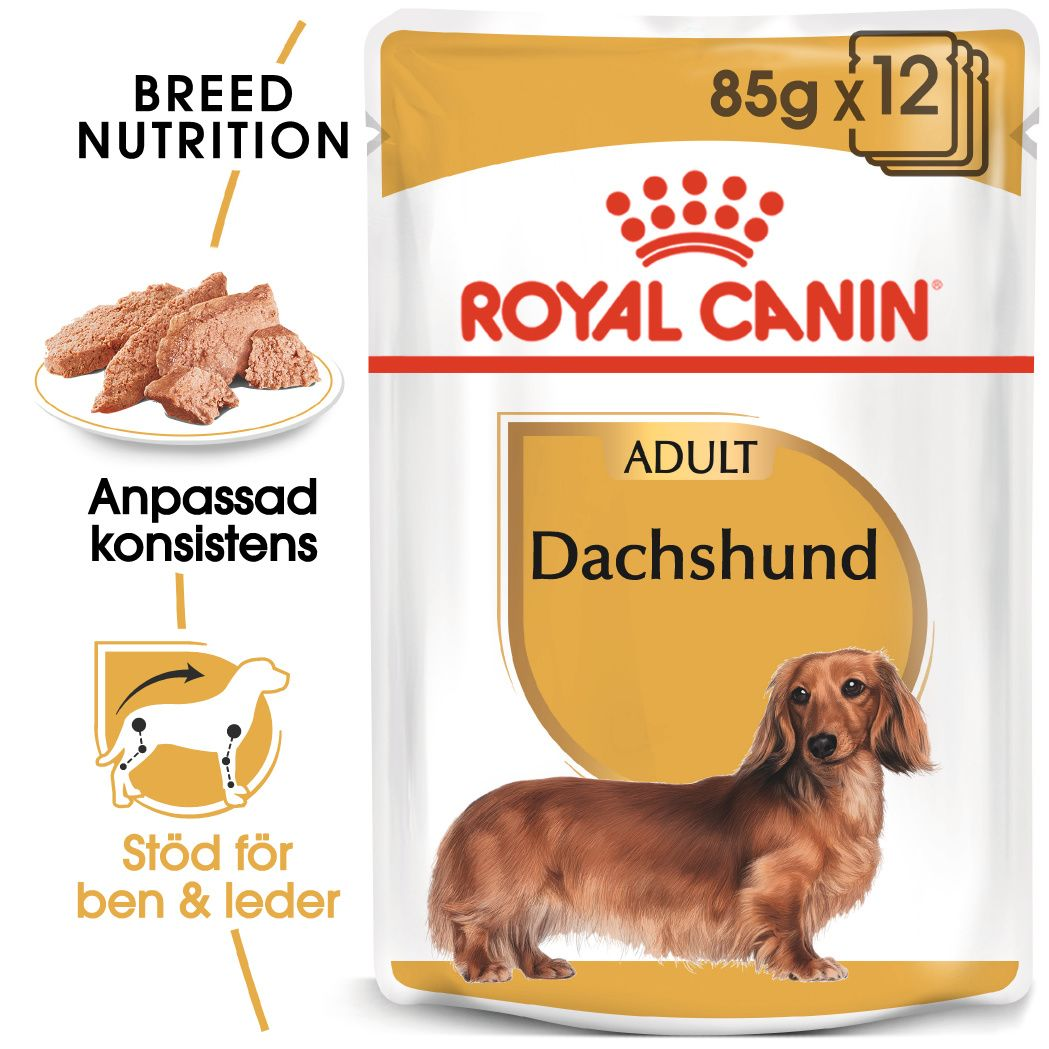 Royal Canin Dachshund Adult Våtfôr for hunder 85 g x 12 stk