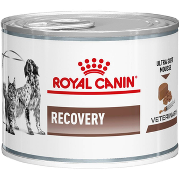 Royal Canin Veterinary Diets Dog Gastrointestinal Recovery Ultra Soft Mousse Våtfôr for katter og hunder