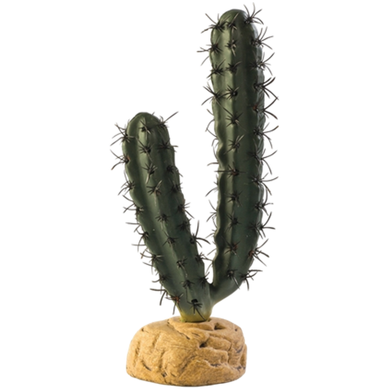 Fingerkaktus - Ørkenplanter på bakken Grønn 7 cm