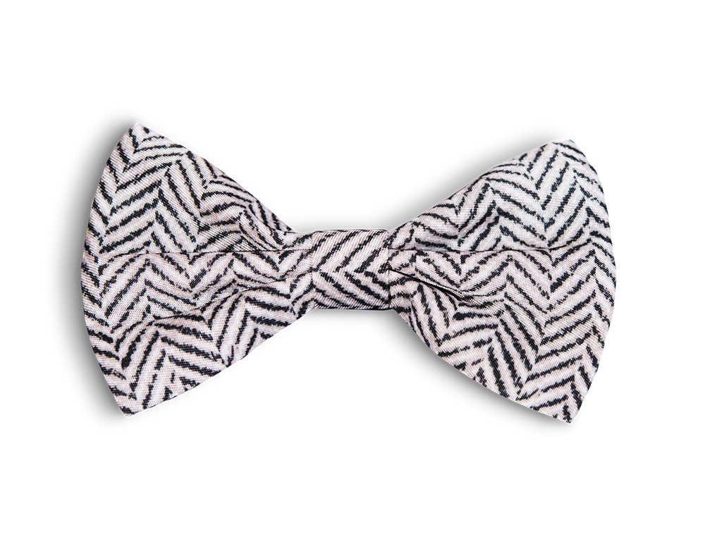 Gustaf och Evita Fluga Modish