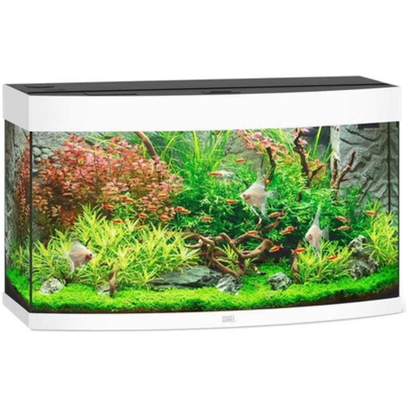 Juwel Vision Aquarium Vit