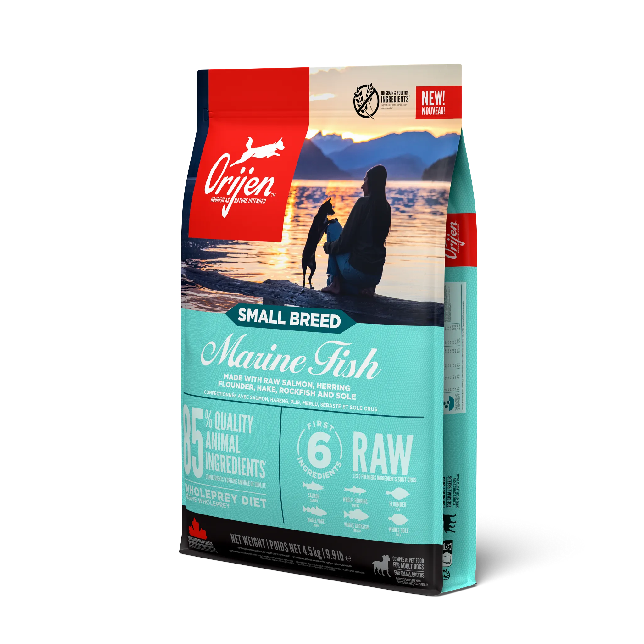 Marine Fish Small Breed