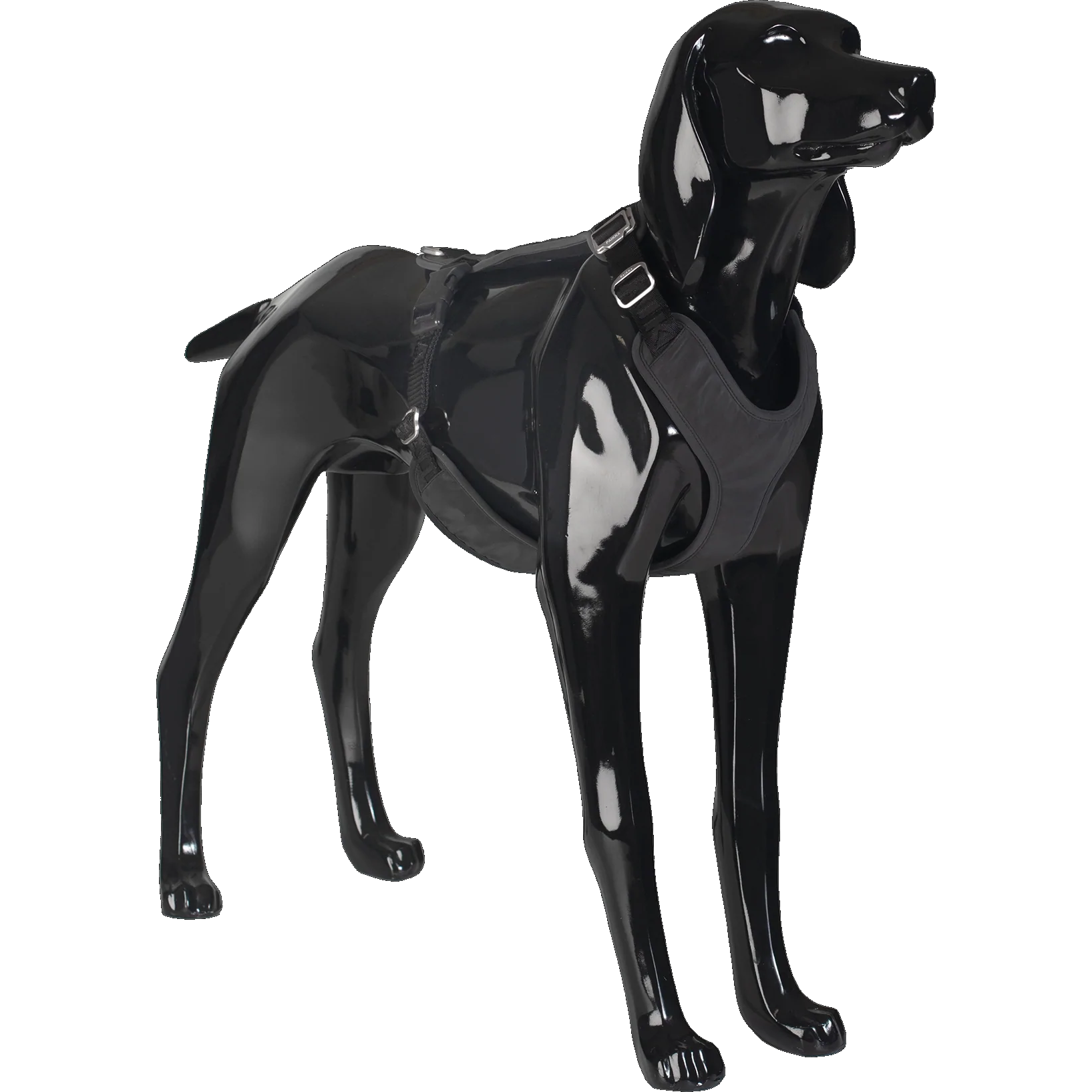 Visibility Harness Dark S