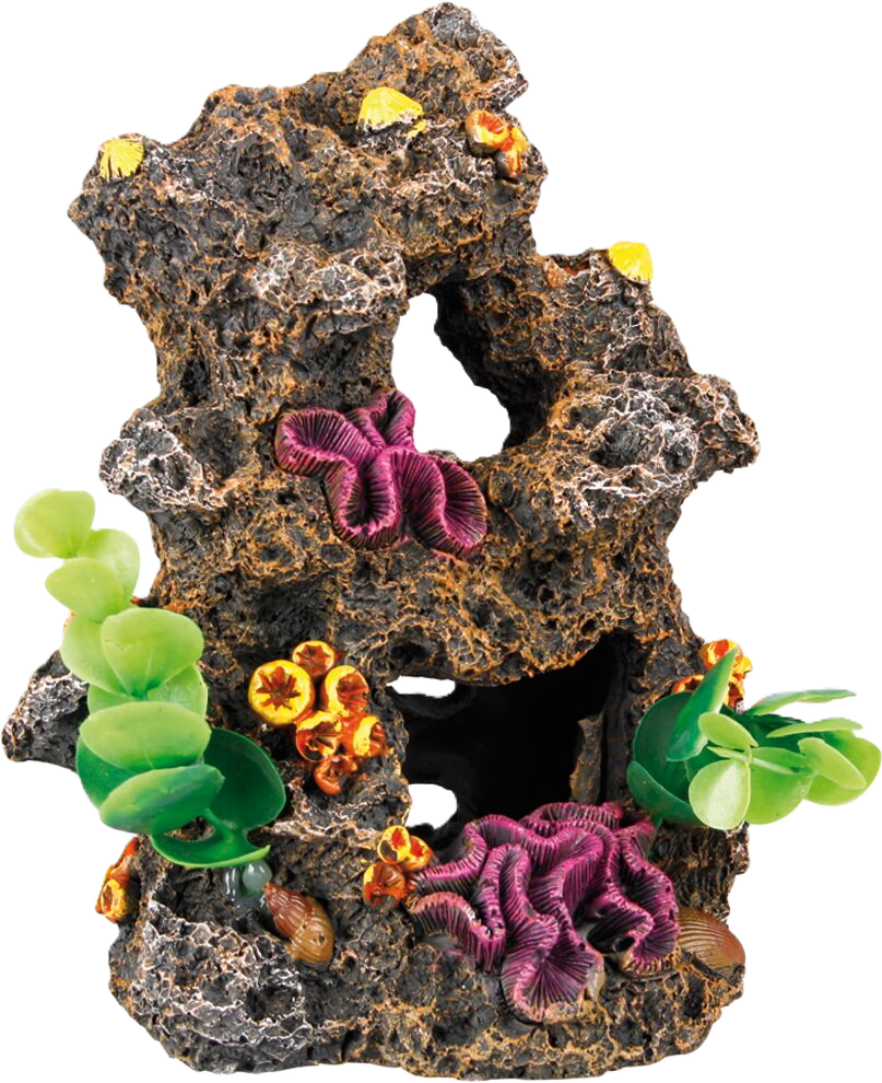 Decoration Reef With Plants