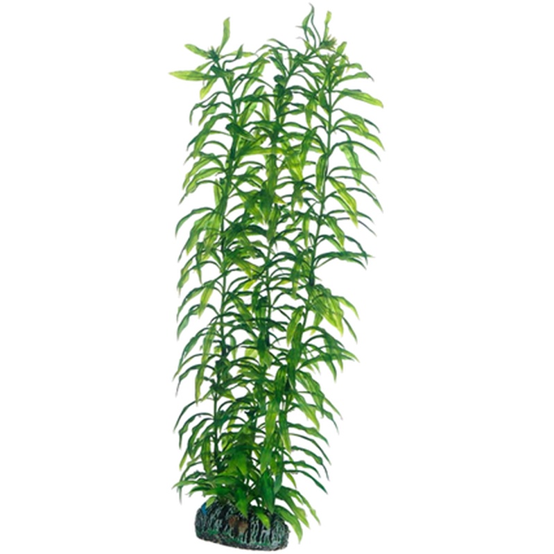 Hobby - Plastplante Heteranthera 34cm - Fisk - DekorasjonPetXL