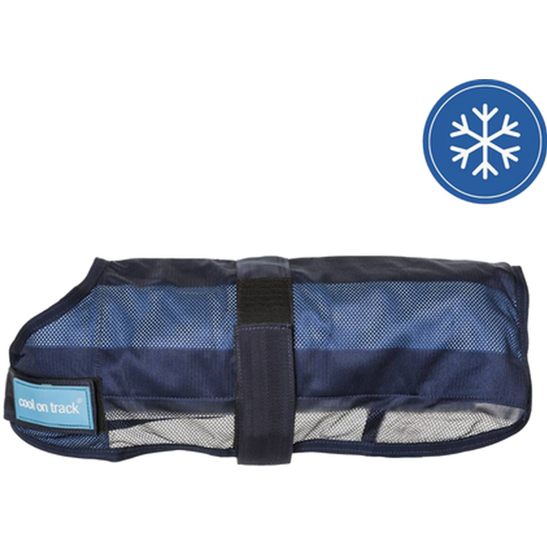 Back on Track Cool on Track Hundeteppe