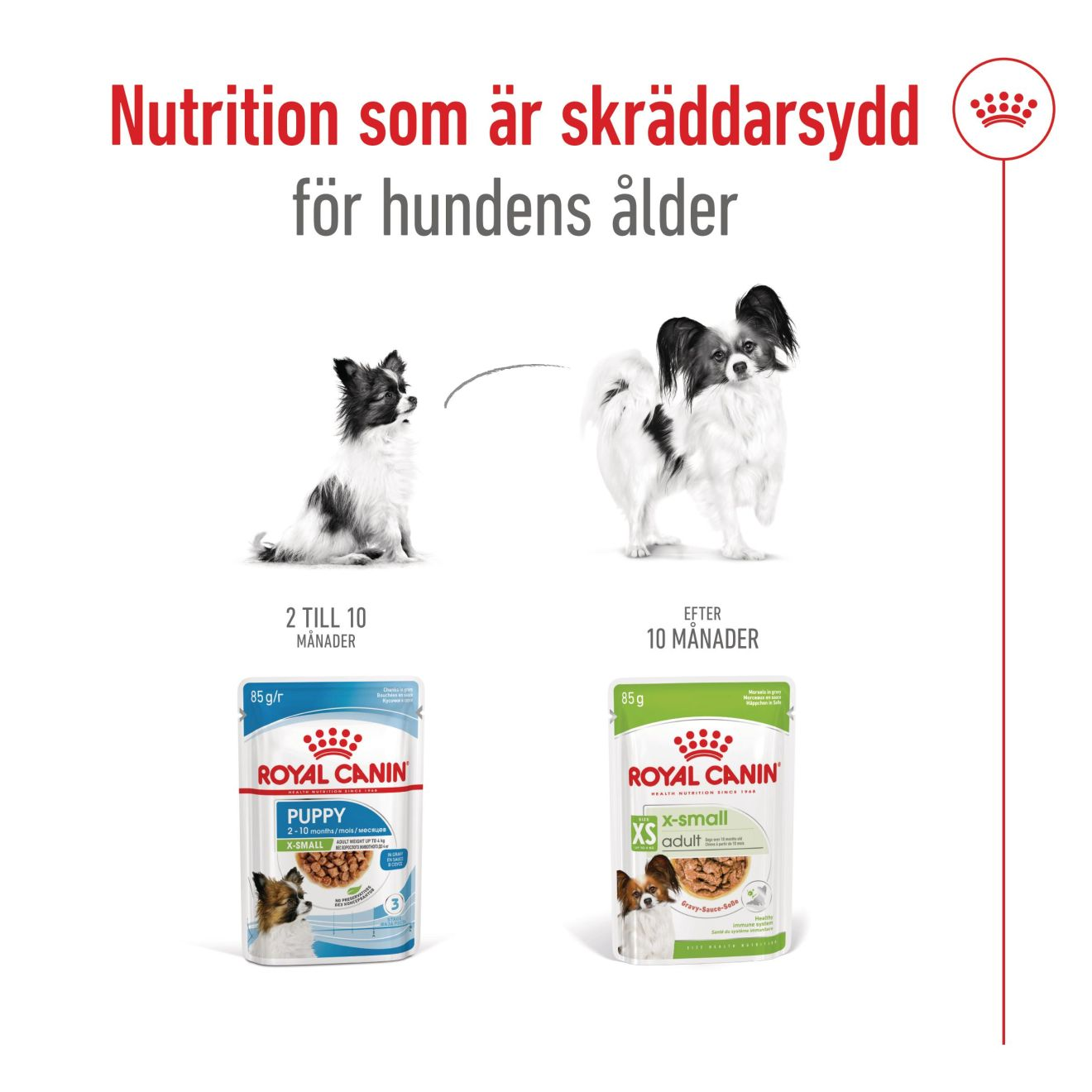 Royal Canin X-Small Adult Gravy våtfôr for hunder 12x85 g | PetXL