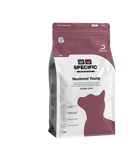 Cat Fnd Neutered Young