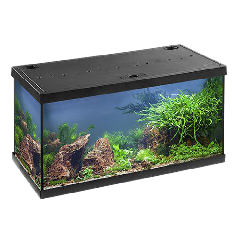 Eheim Aquastar LED Complete 54 L - Svart, 60 x 30 x 30 cm