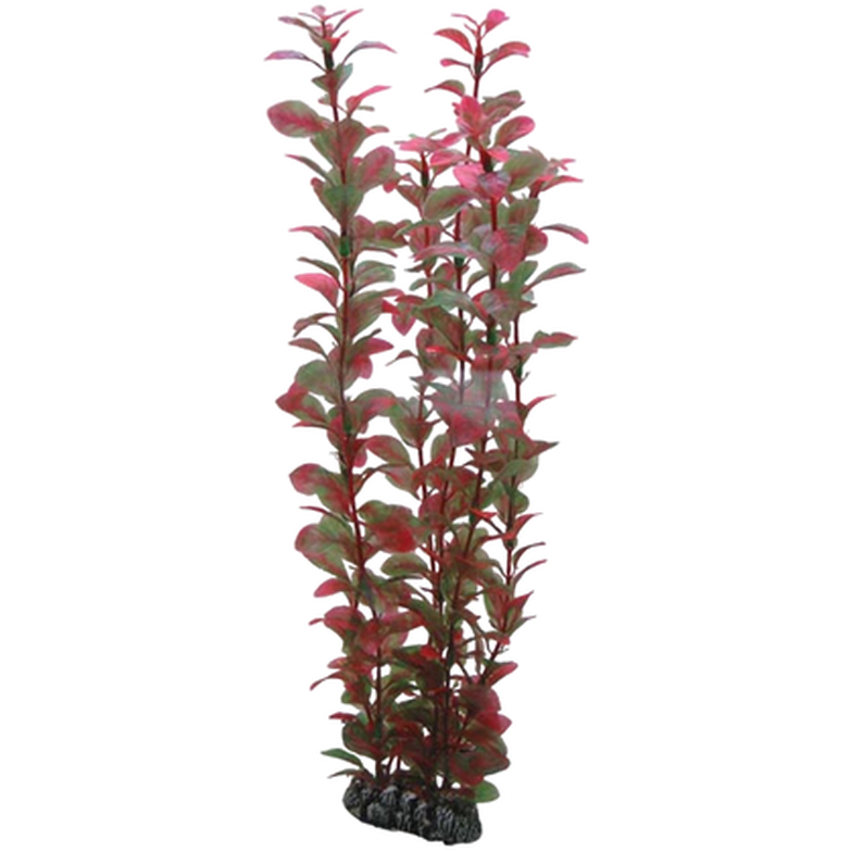 Plastplante Ludwiga 25cm
