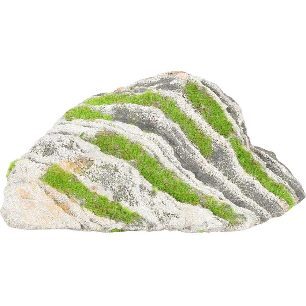 Zolux Kipouss Two Coloured Stone med levende plantefrø