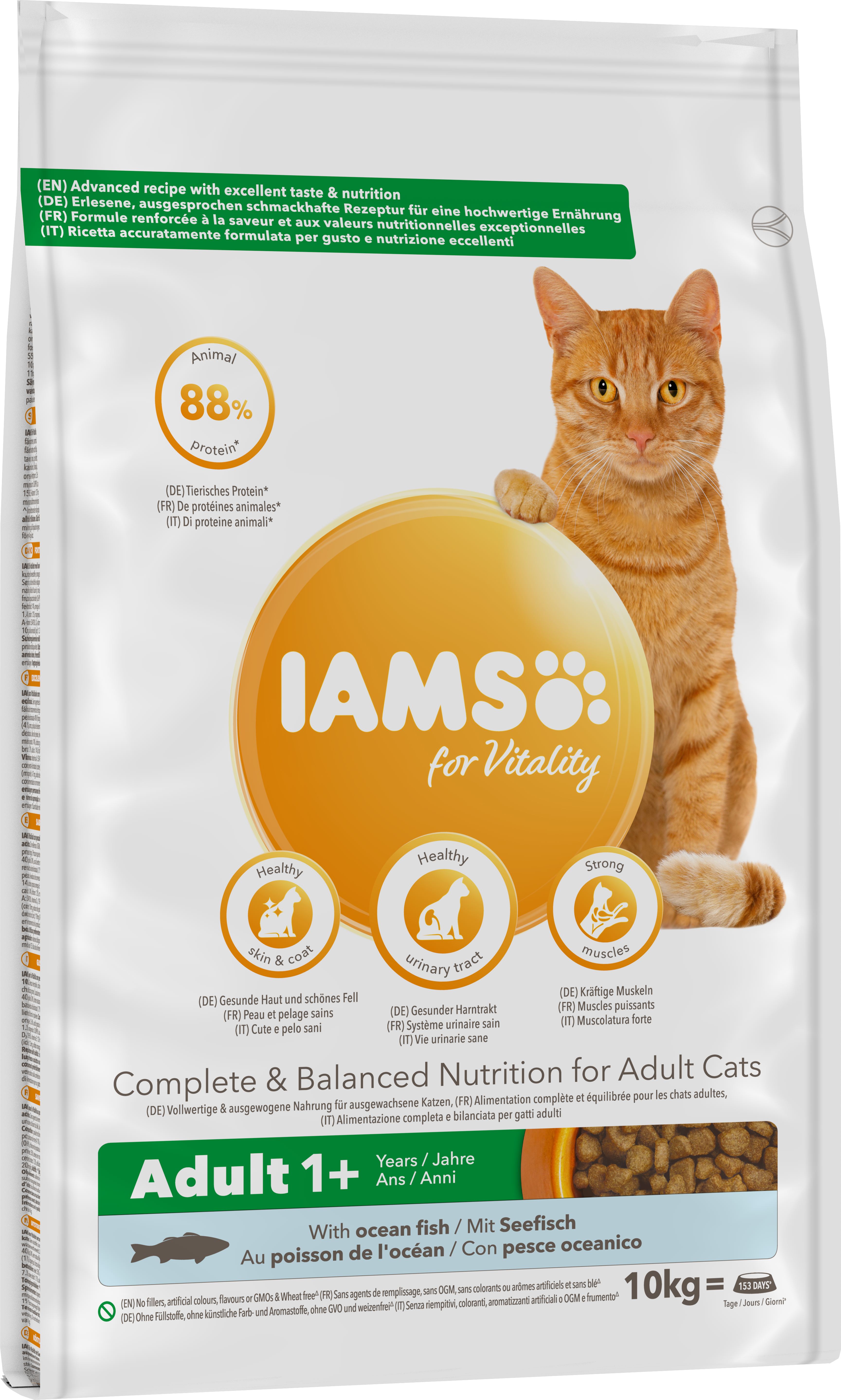 Cat Adult Ocean Fish 10 kg