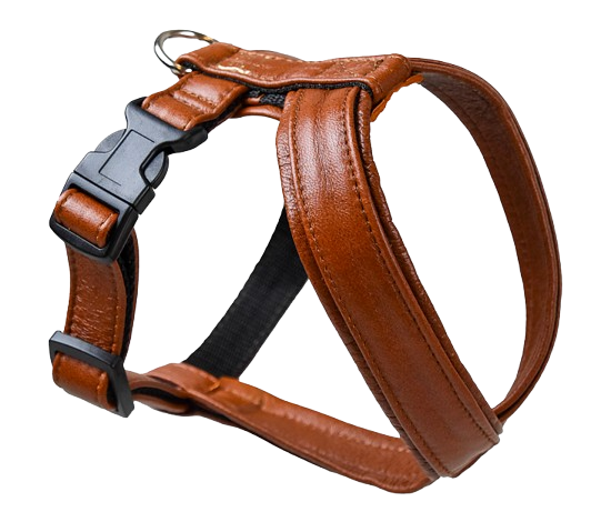 Lädersele Pro Cognac Nr 1,5