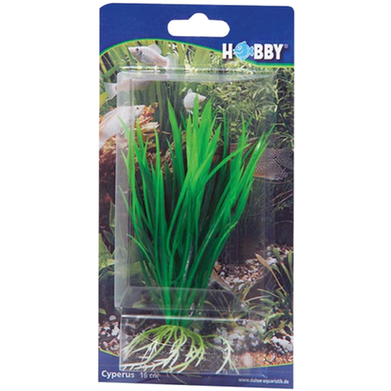 Plastväxt Cyperus 16cm