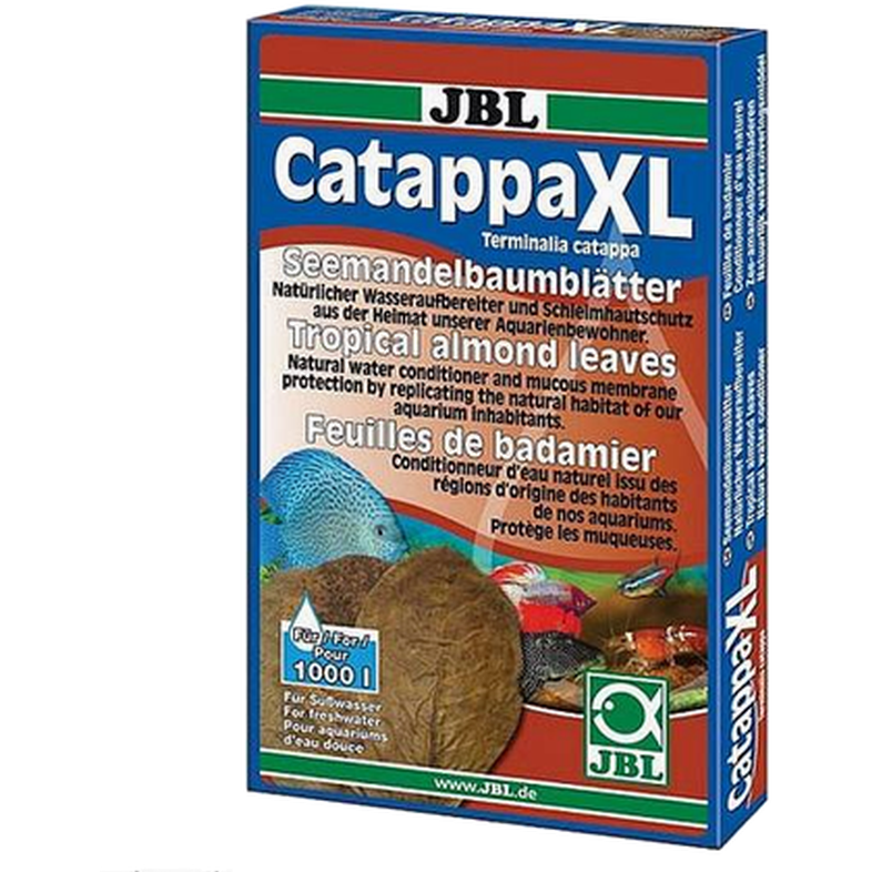Catappa Tropical Almond Leaves for Freshwater X-Large