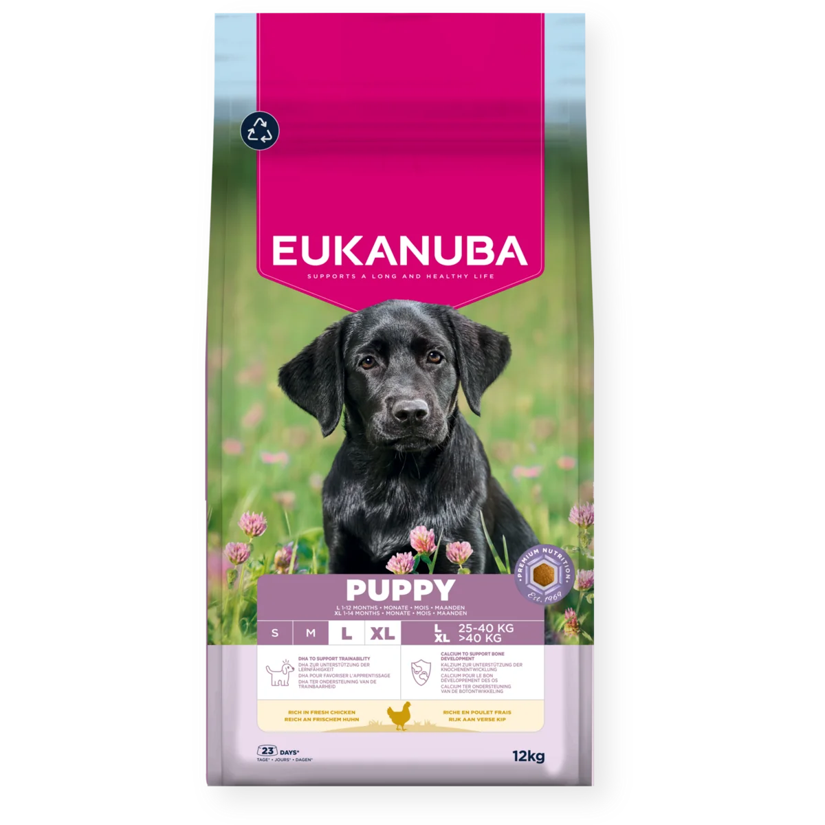 Eukanuba Dog Puppy Large