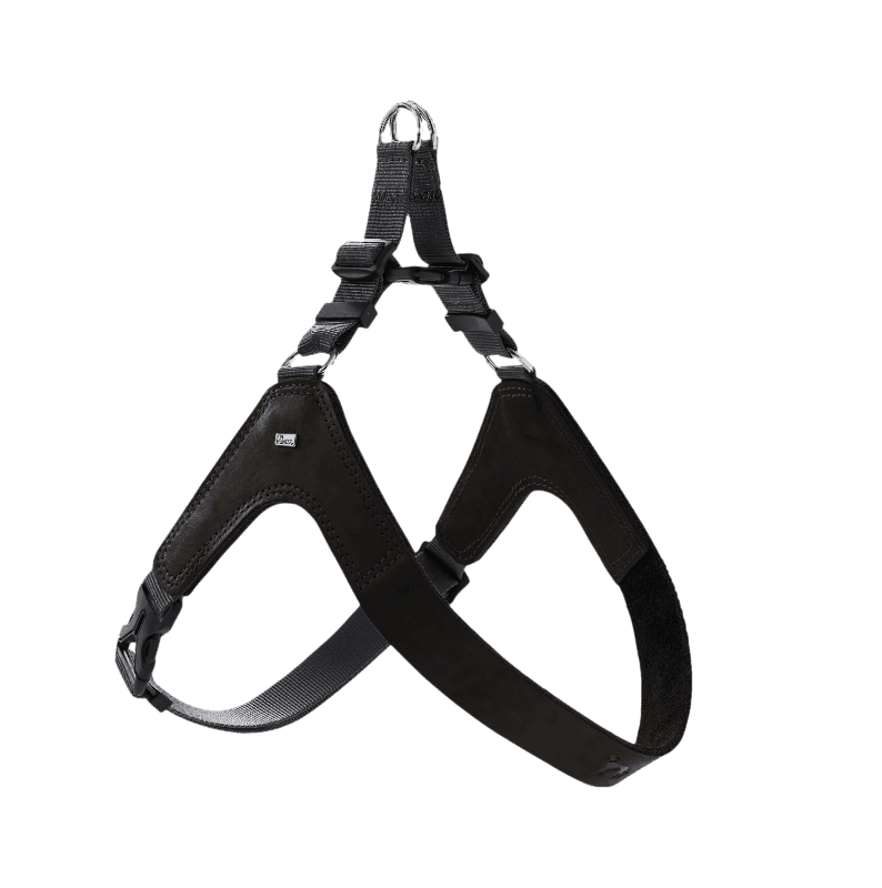 Hundesele Dimaro i kuskinn Svart S-M Bryst 48-69cm