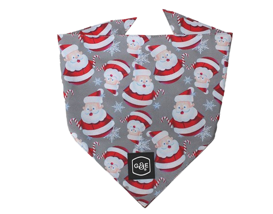 Gustaf och Evita Bandana Santa