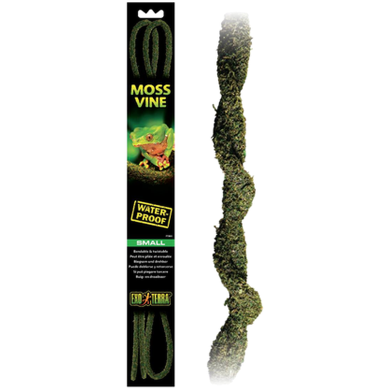 Mosseranke - Hengende regnskog/jungelplanter Brun Liten