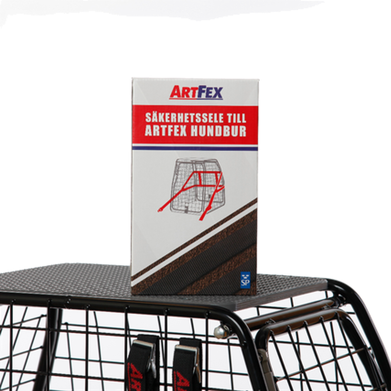 Sikkerhetssele 10020 Bur Kollisjonstestet