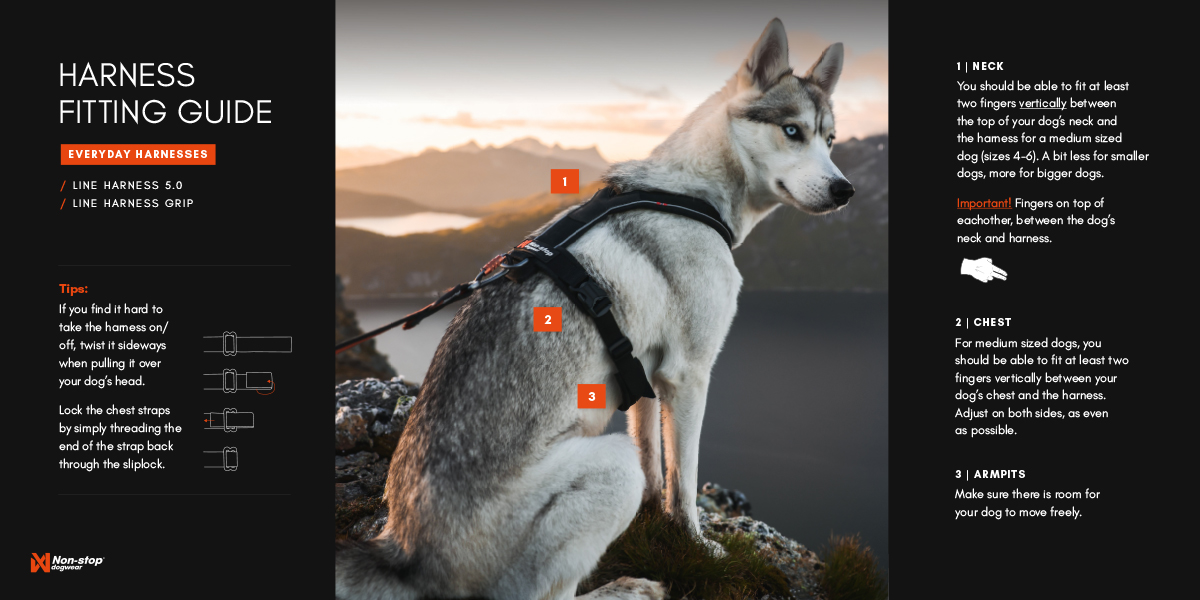 Non-Stop Line 5.0 ergonomisk sele av høy kvalitet - Kjøp nå!