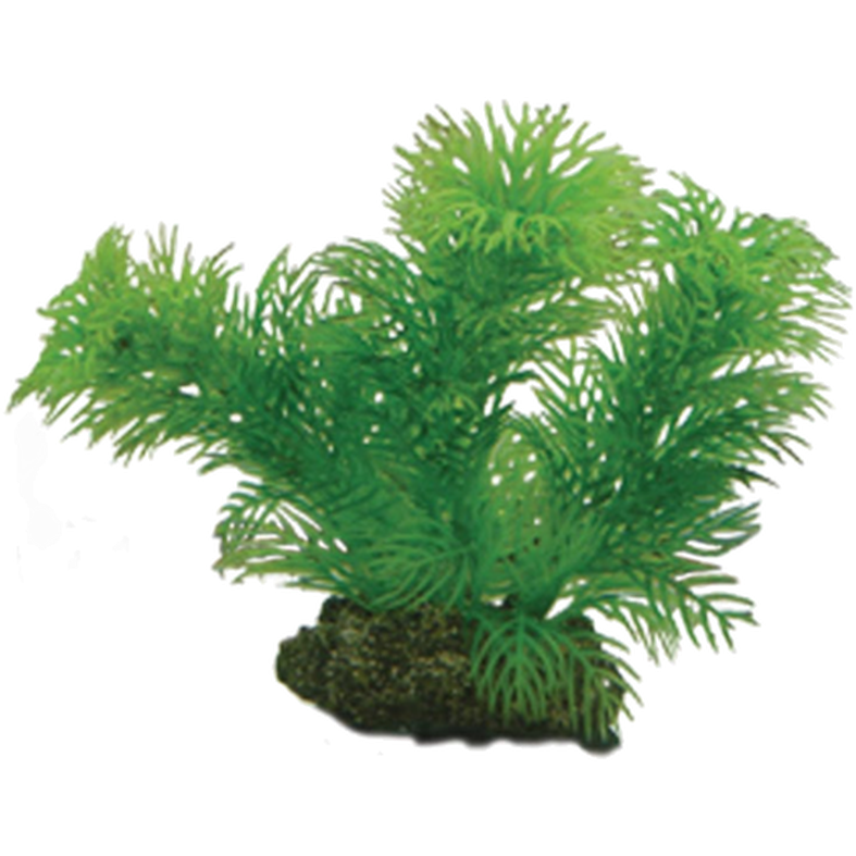 Hobby Plastplante Egeria