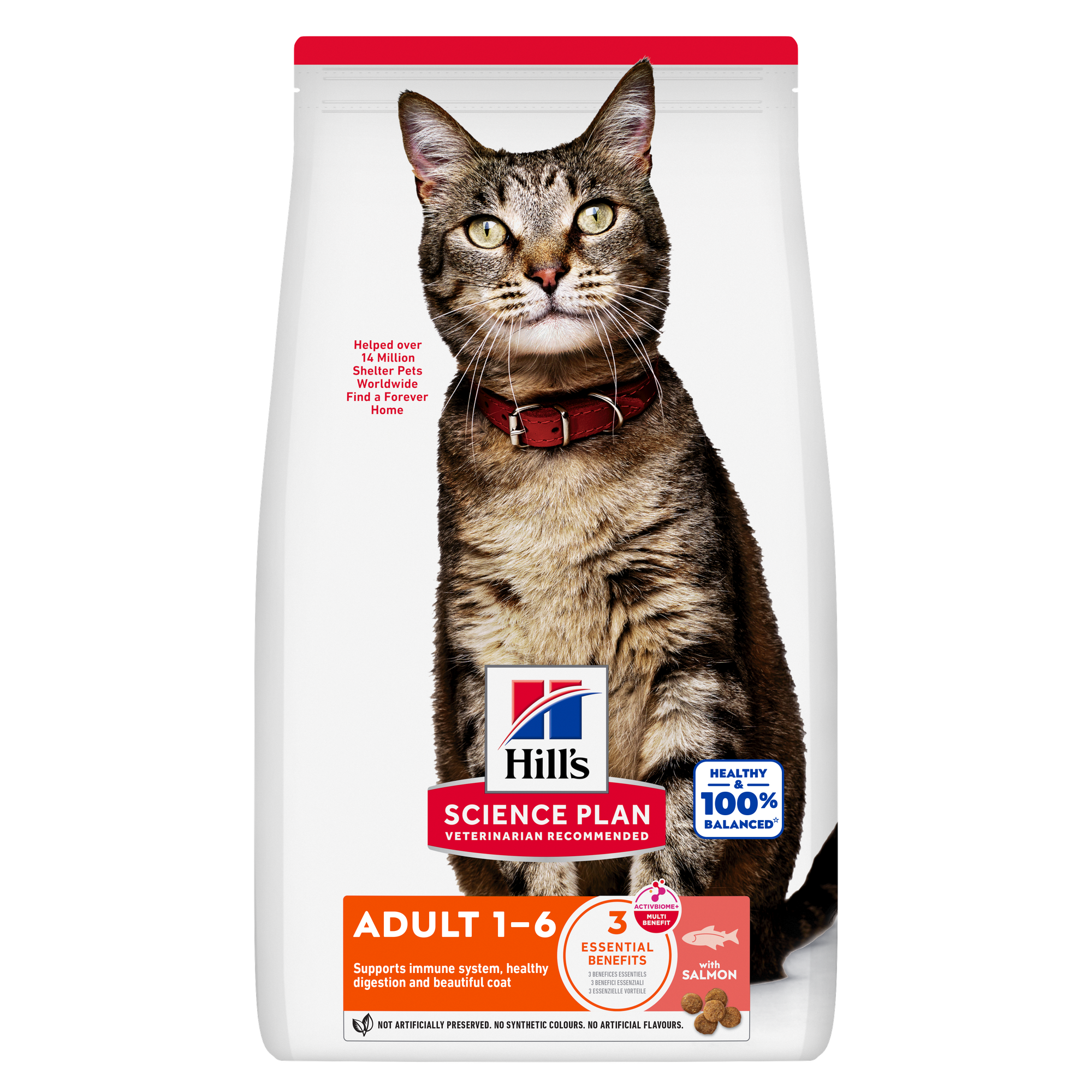 Feline Adult Cat Food Salmon