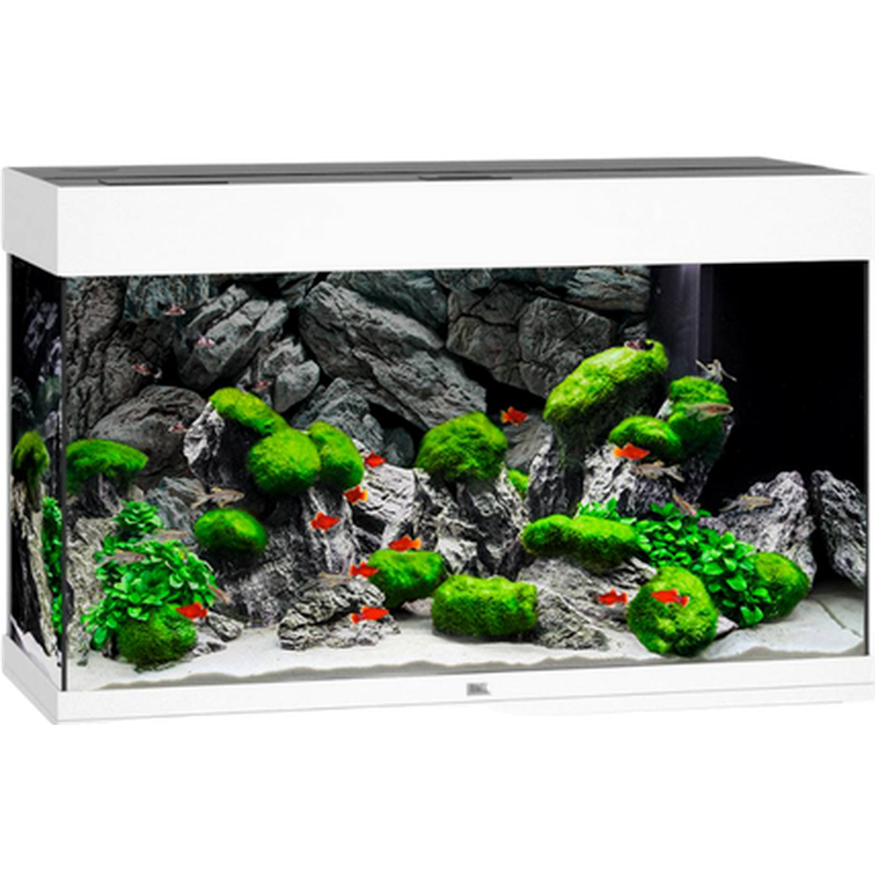 Juwel Rio LED Aquarium Vit