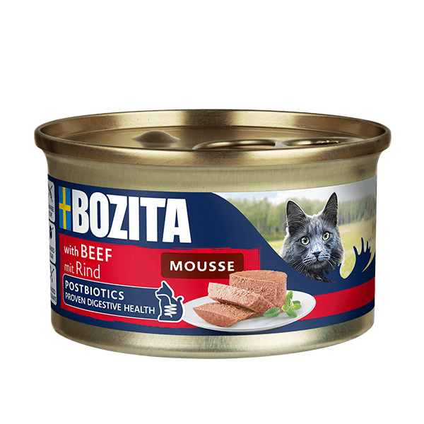Mousse Biff