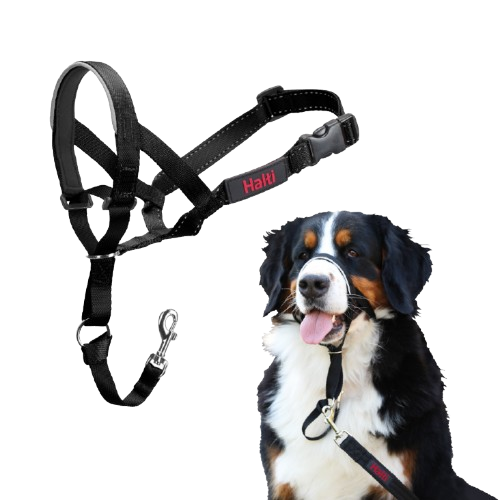 Nr. 5 Nesehalsbånd Hals: 51-73 cm