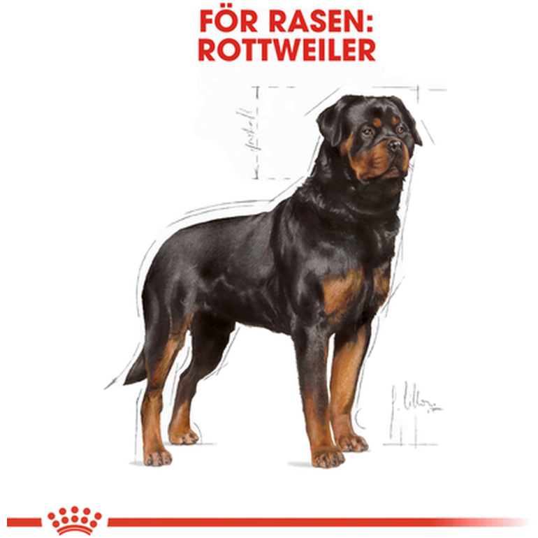 Royal Canin Rottweiler Adult tørrfôr for hunder 12 kg | PetXL