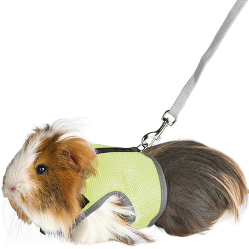 Myk, myk sele med bånd Guniea Pig Mix 18-25 cm