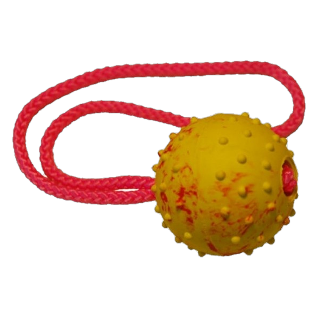 Gappay Gappay Treningsball med Håndtak Gummi 1 stk