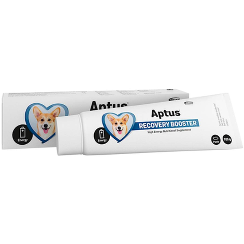 Aptus Recovery Boost Dog Pasta 100 g