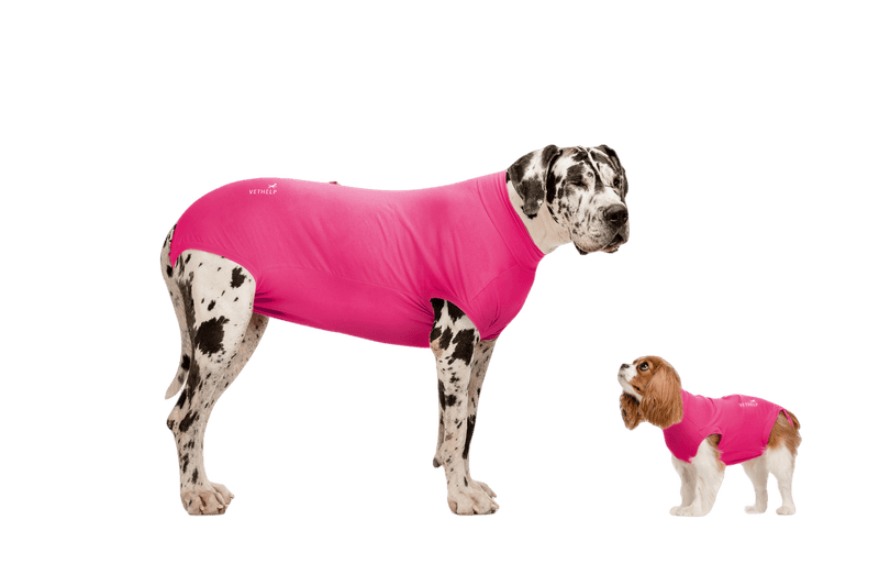 Recovery Suit Pink Tik/Katt Nr 6 - Hund - Halsbånd og seler - Belte til eier - VetHelp