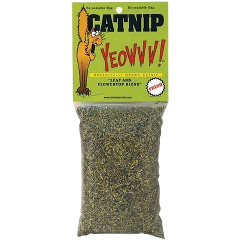 Kattemynte Økologisk kattemynte 28.3 g