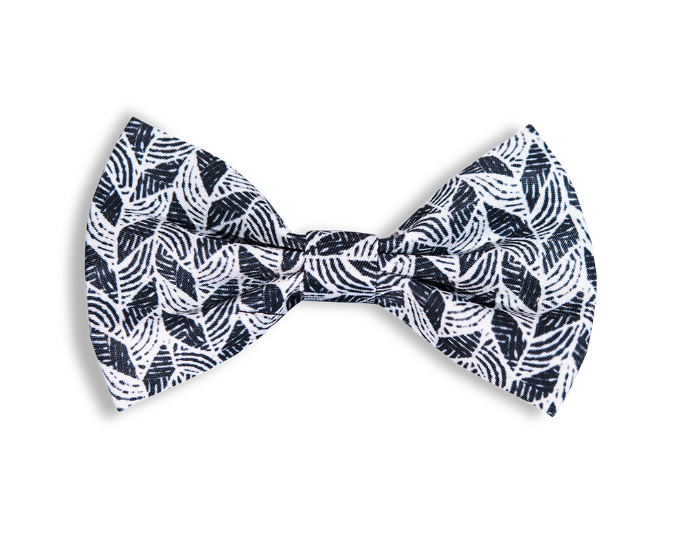 Gustaf och Evita Trendikäs kärpänen