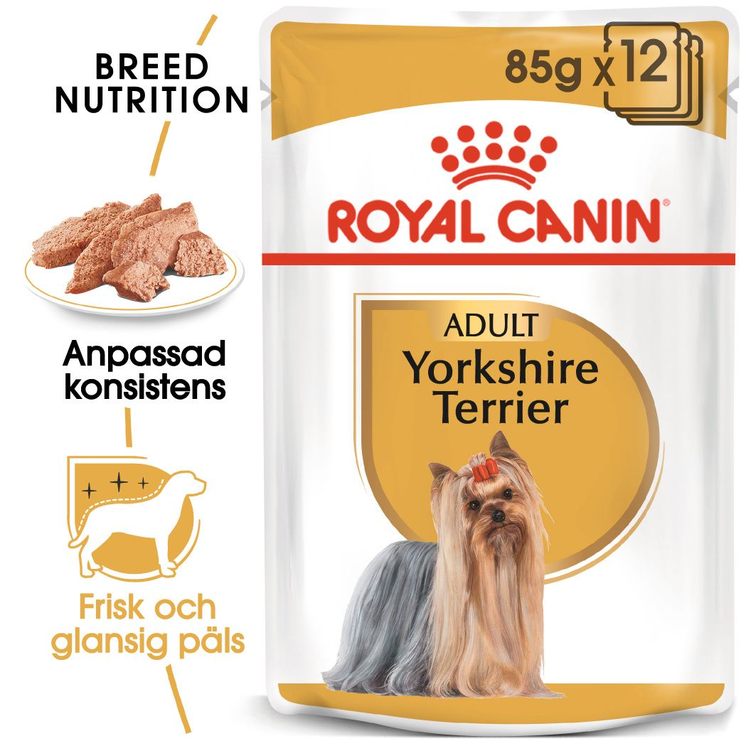 Royal Canin Yorkshire Terrier Adult våtfôr til hund 85 g x 12 stk