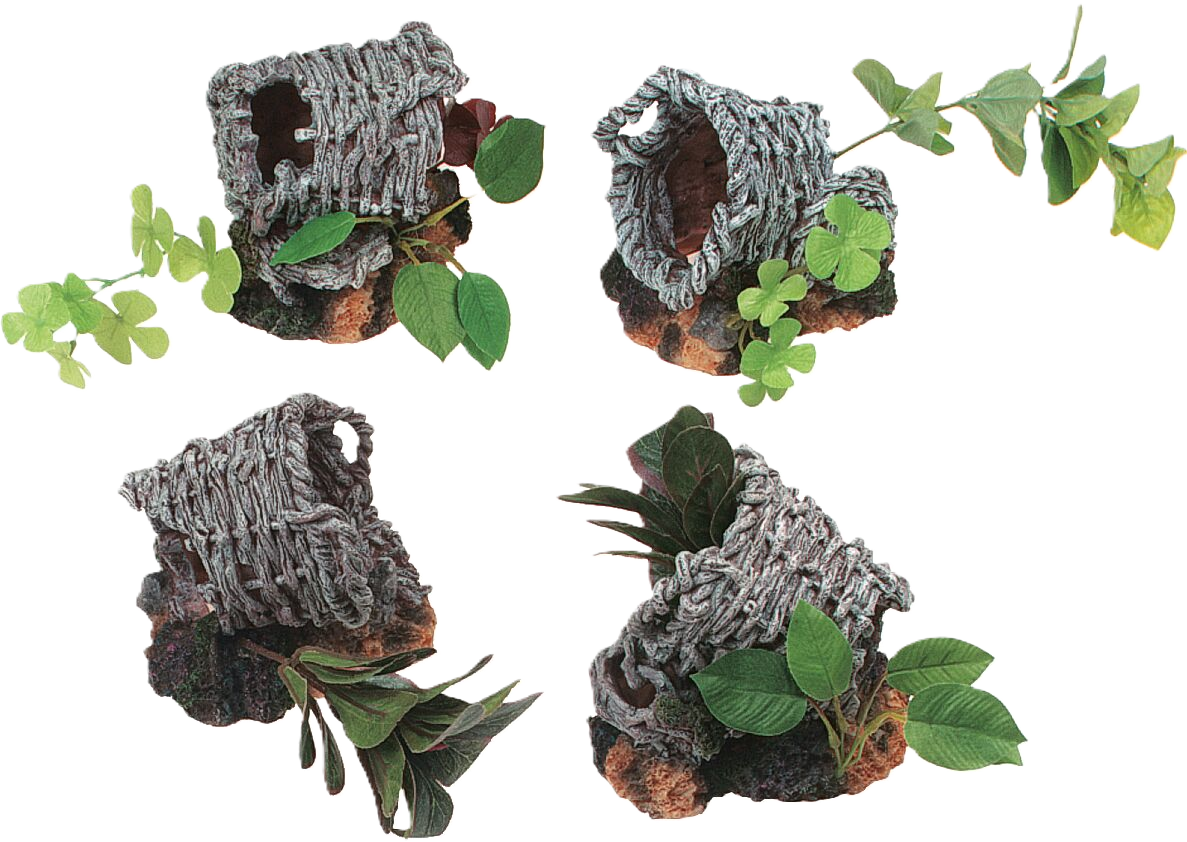 Decoration Basket Plant