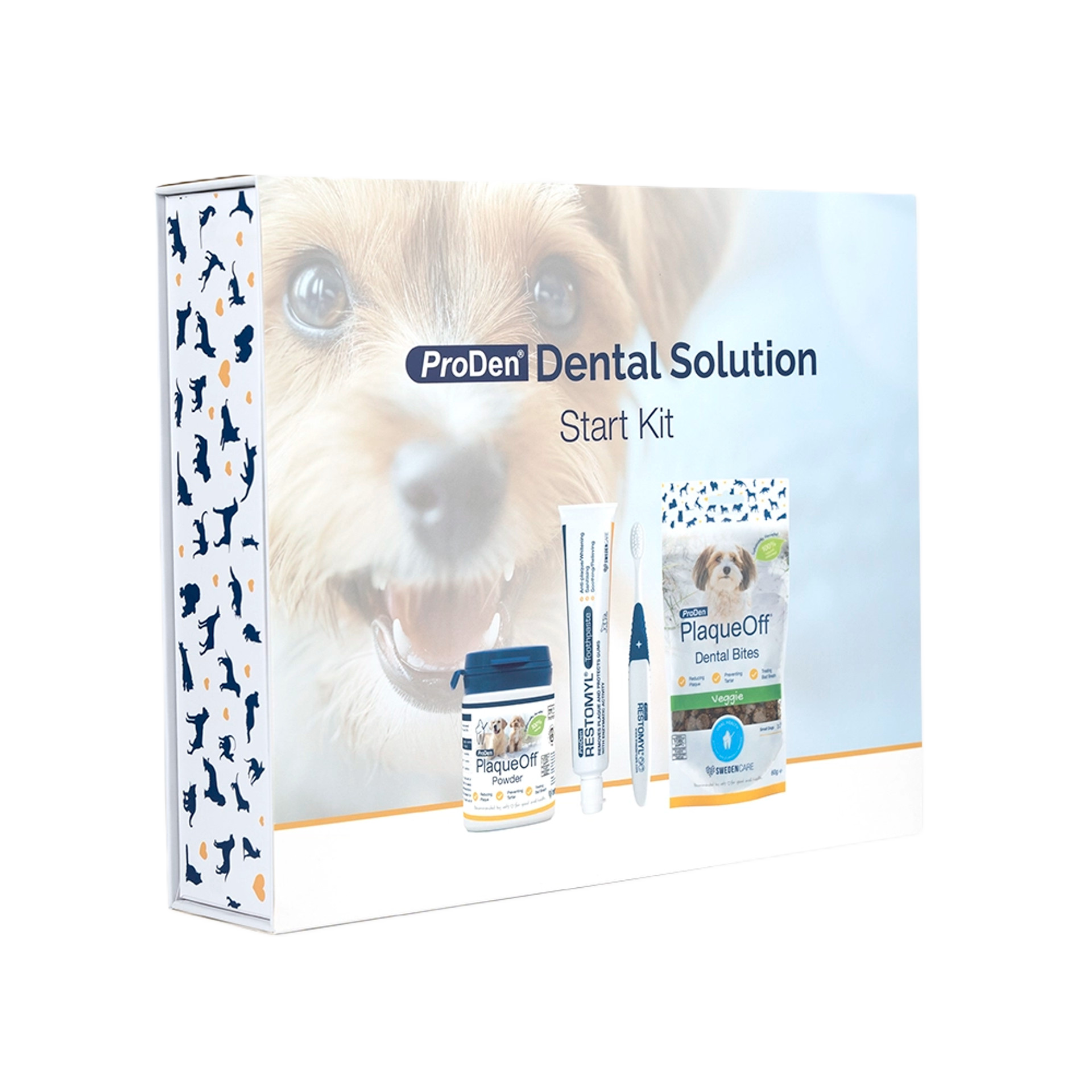 Dental Solution Dental Care Box