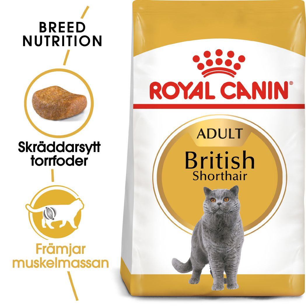 Feline britisk korthår 2 kg