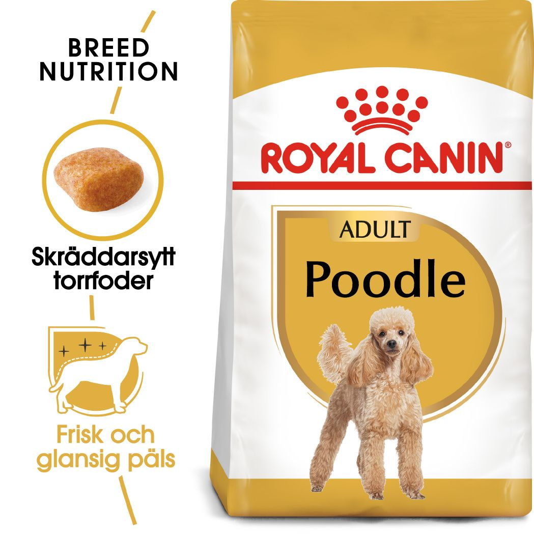 Royal Canin Poodle Adult tørrfôr for hunder