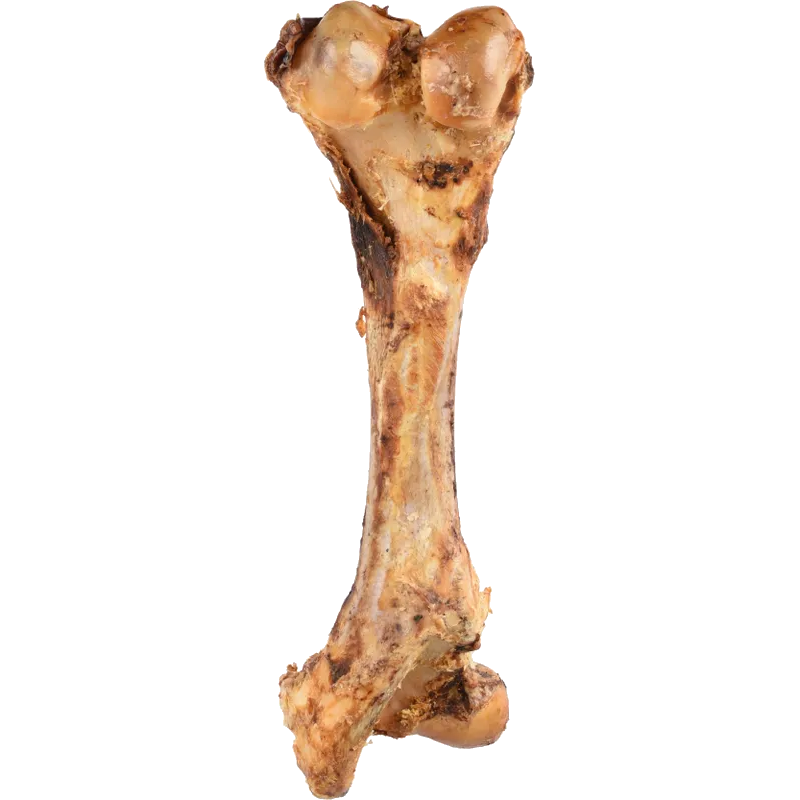 Dog Nature Snack Fleshy Bone