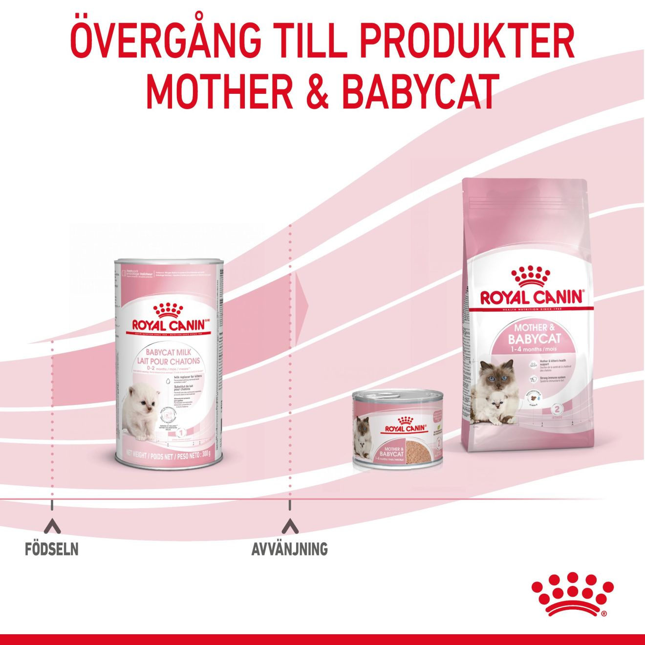 Royal Canin Babycat Milk 300 g | PetXL